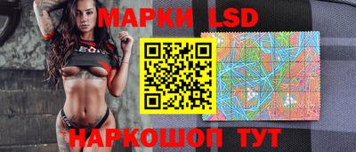 скорость Новозыбков