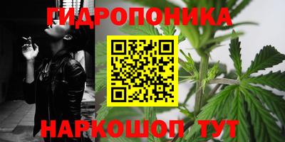ГАЛЛЮЦИНОГЕННЫЕ ГРИБЫ Новодвинск