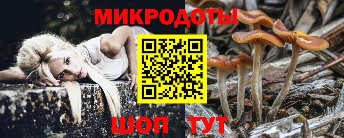 Псилоцибиновые грибы мухоморы Северобайкальск