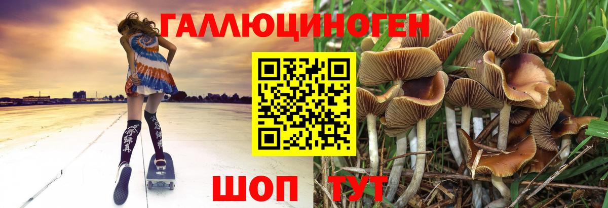 Северобайкальск  купить   Вход с VPN  Галлюциногенные грибы MAGIC MUSHROOMS 